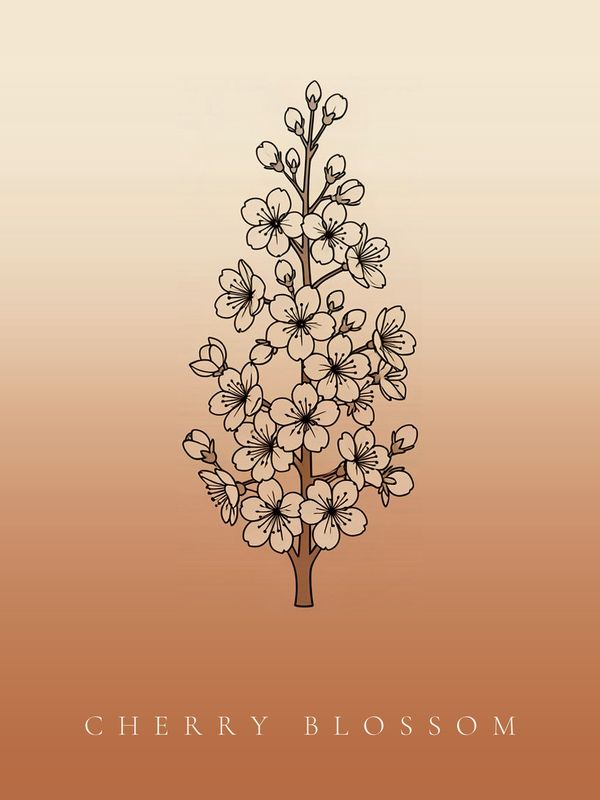 Kirschblüte