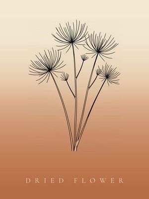 Trockenblume, Japandi Poster mit botanischer Line Art im Verlauf von Creme zu Terrakotta