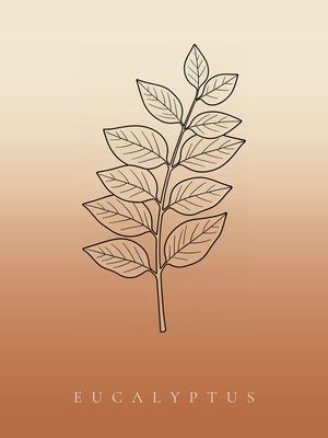 Eukalyptus, Japandi Poster mit botanischer Line Art im Verlauf von Creme zu Terrakotta