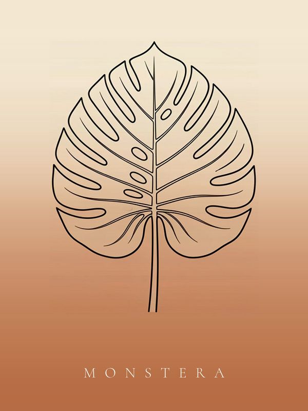 Monstera